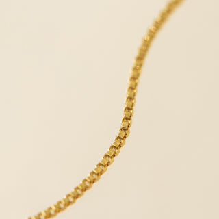 Box Chain Gold-Filled Anklet