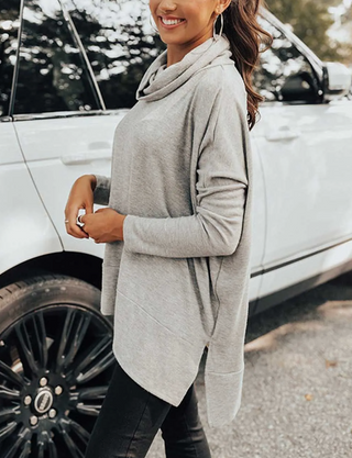 Beatrice Cowl Neck Sweater Top