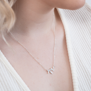 Canada’s Great Lakes Necklace | Silver