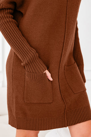 Chestnut Sweater Dress