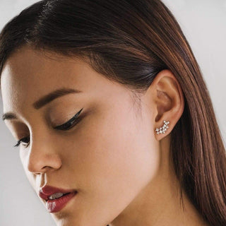 Stardust Climber Earrings in Clear